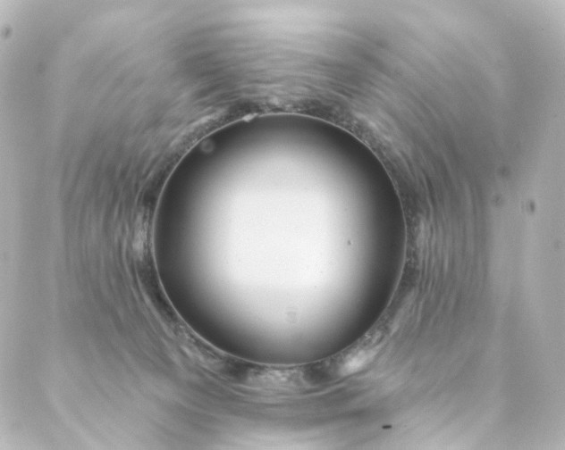 X0000088890129200706221849