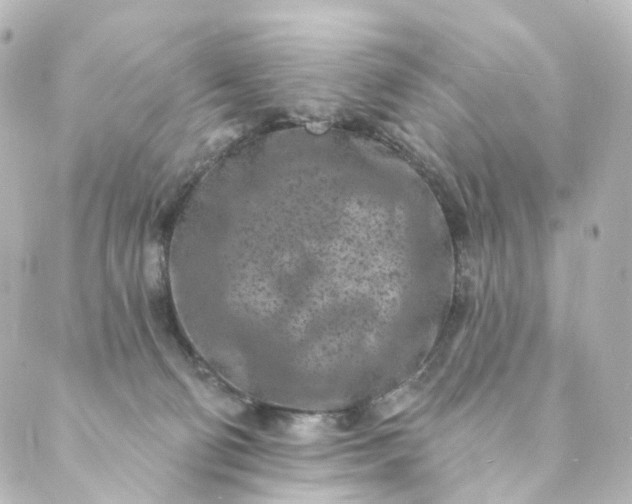 X0000088890130200706221849