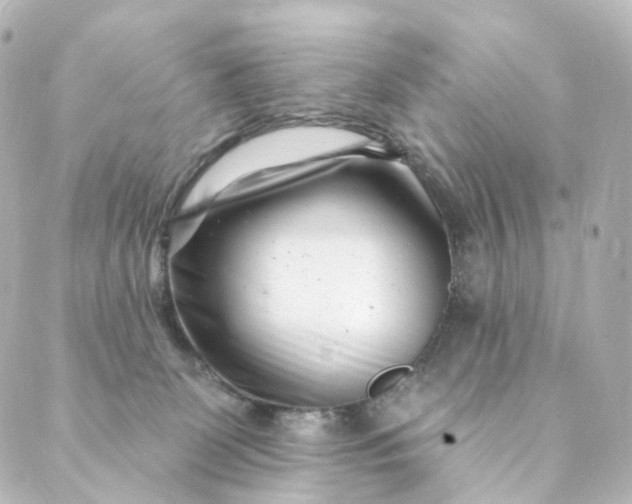 X0000088890131200706221849