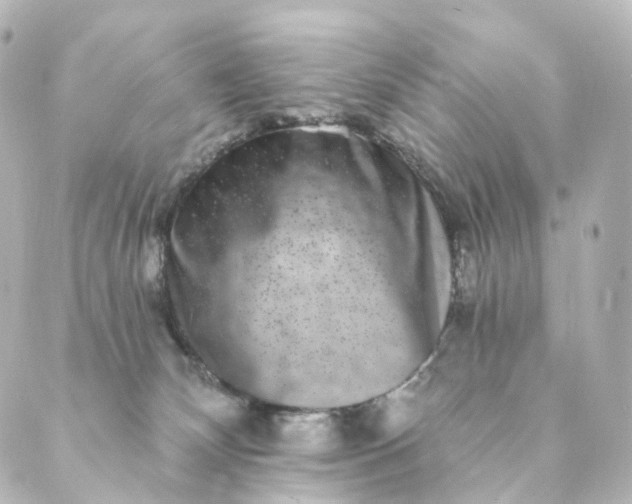 X0000088890132200706221849