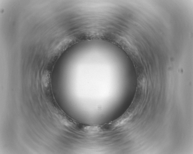 X0000088890133200706221849