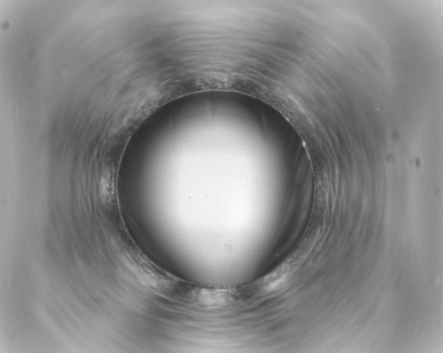 X0000088890134200706221849