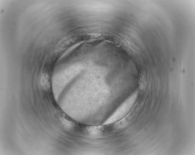 X0000088890136200706221849