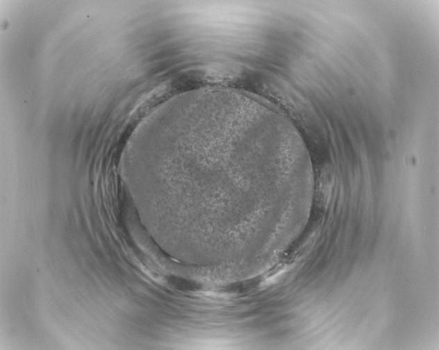 X0000088890137200706221849