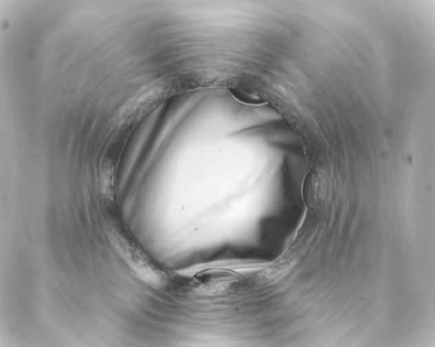 X0000088890138200706221849