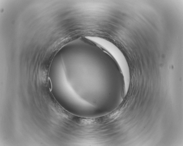 X0000088890139200706221849