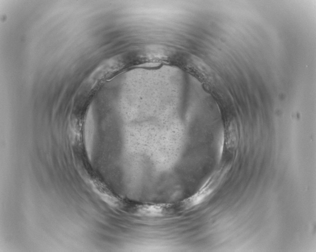 X0000088890140200706221849