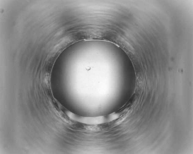 X0000088890141200706221849