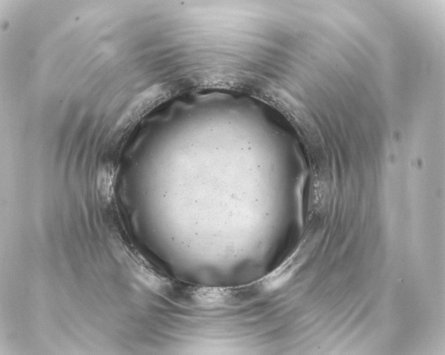 X0000088890142200706221849