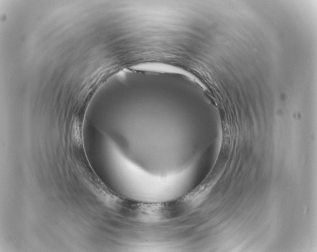 X0000088890143200706221849