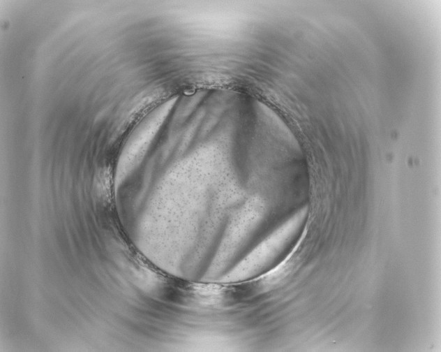 X0000088890144200706221849