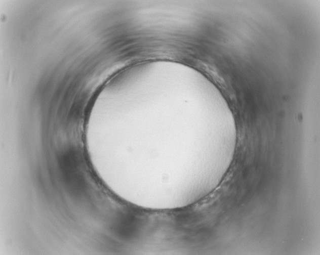 X0000088890146200706221848