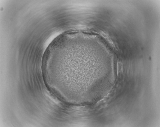 X0000088890147200706221848