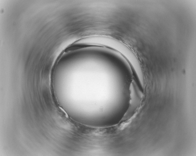 X0000088890148200706221848