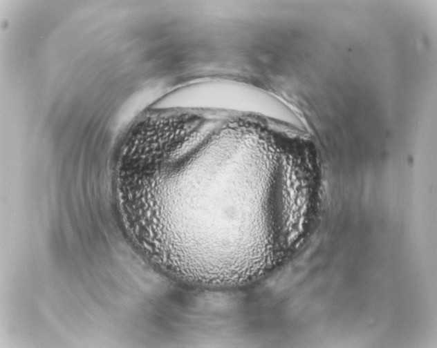 X0000088890149200706221848