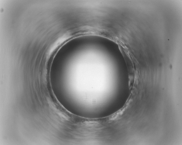 X0000088890150200706221848