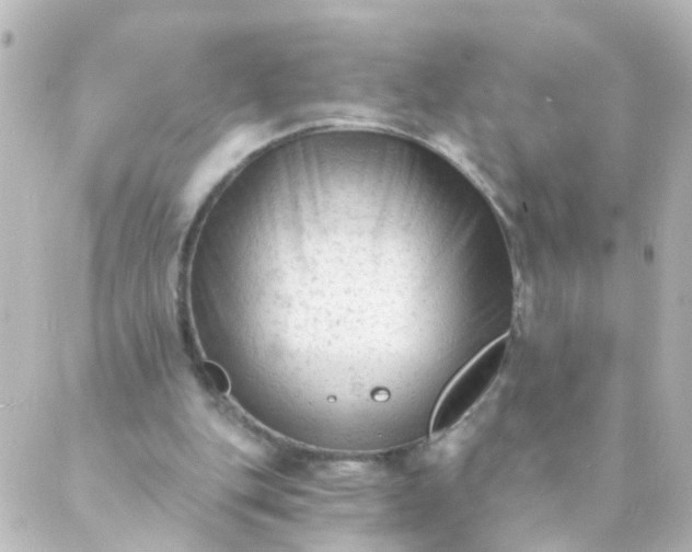 X0000088890151200706221848