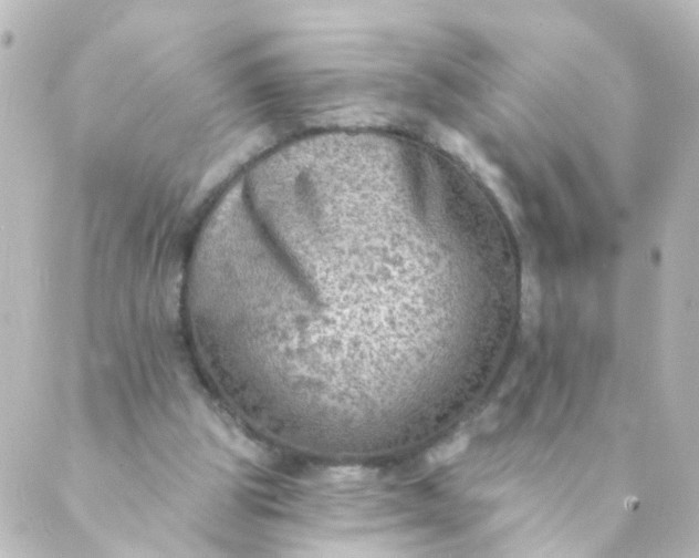 X0000088890153200706221848