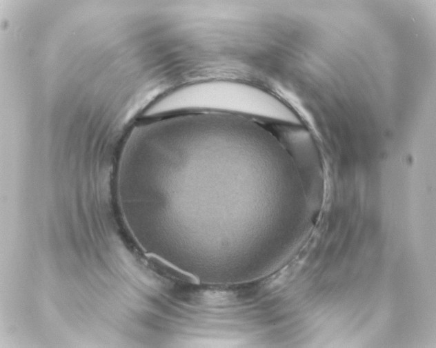 X0000088890154200706221848