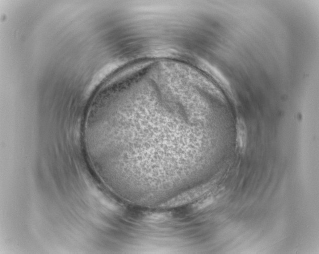 X0000088890155200706221848