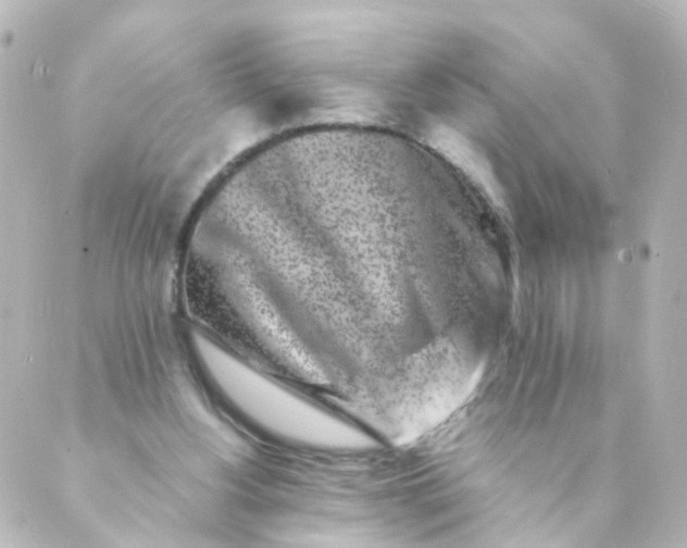 X0000088890156200706221848