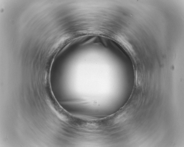 X0000088890157200706221848