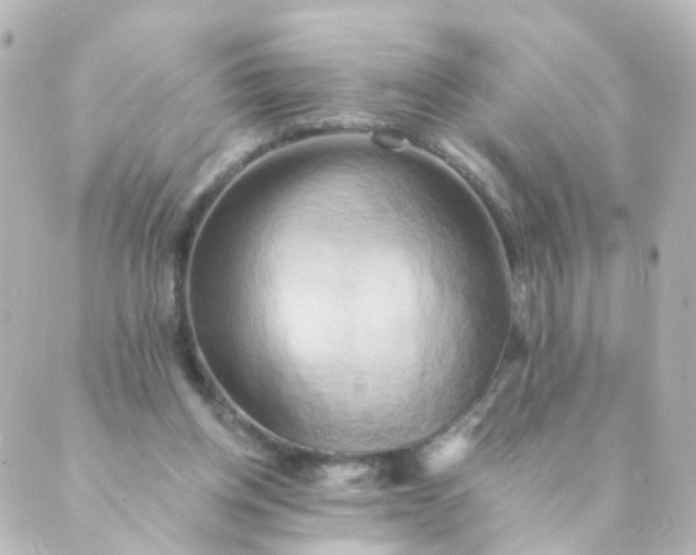 X0000088890158200706221848