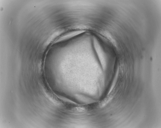 X0000088890159200706221848