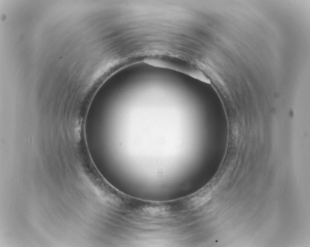 X0000088890160200706221848