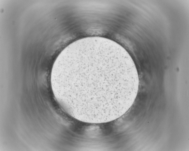 X0000088890162200706221848