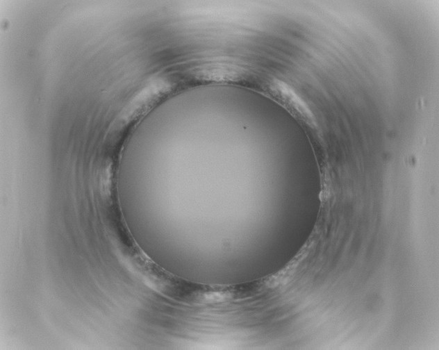 X0000088890163200706221848