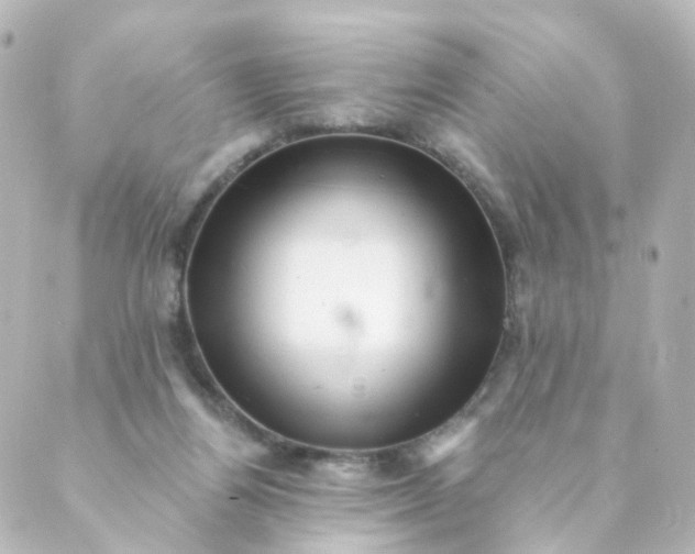 X0000088890164200706221848