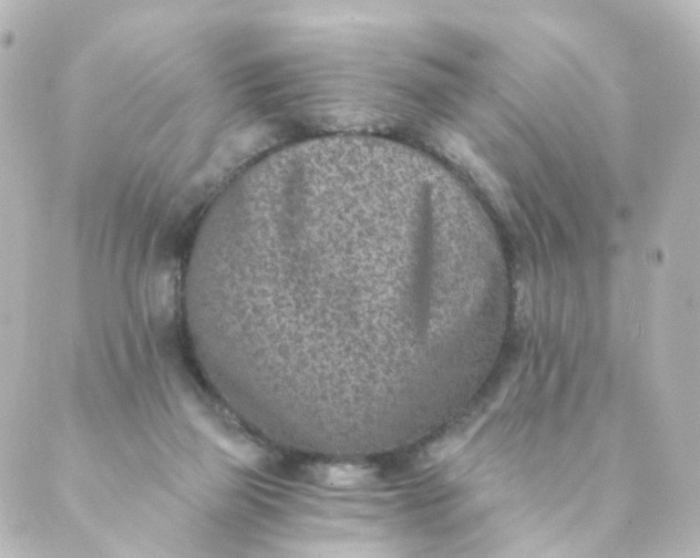 X0000088890165200706221849