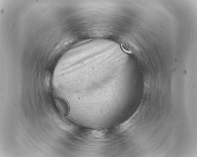 X0000088890166200706221849