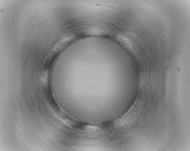 X0000088890167200706221849