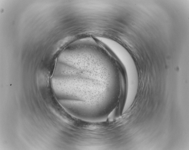 X0000088890168200706221849