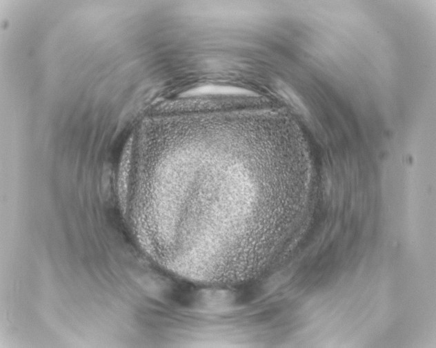 X0000088890169200706221849