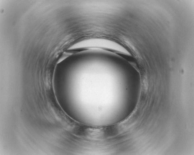 X0000088890170200706221849