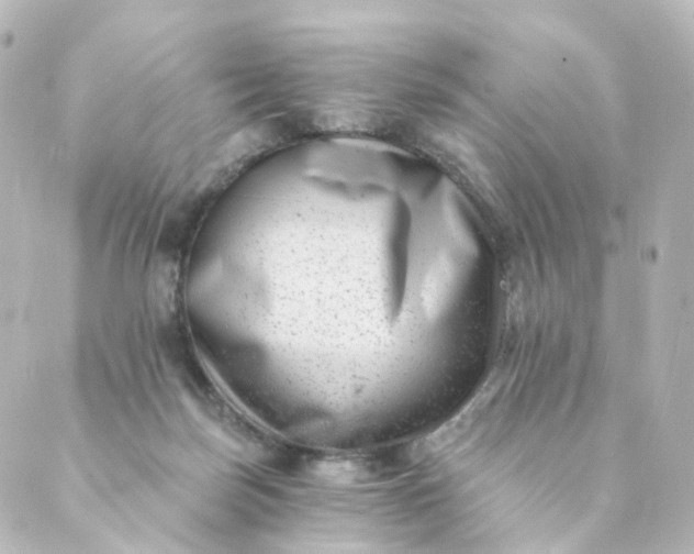 X0000088890171200706221849