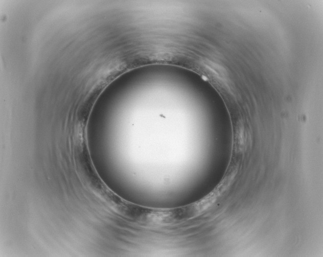 X0000088890172200706221849