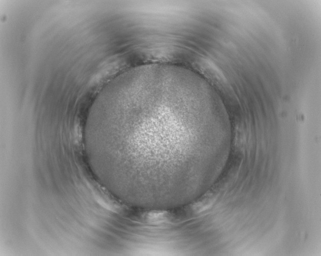 X0000088890173200706221849