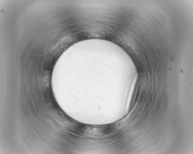 X0000088890174200706221849