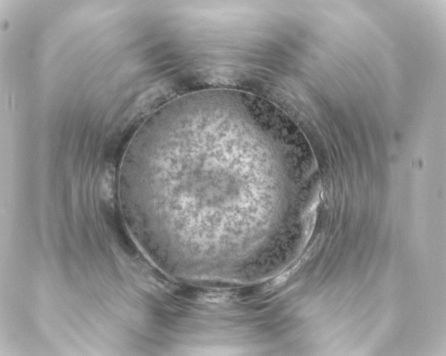 X0000088890175200706221849