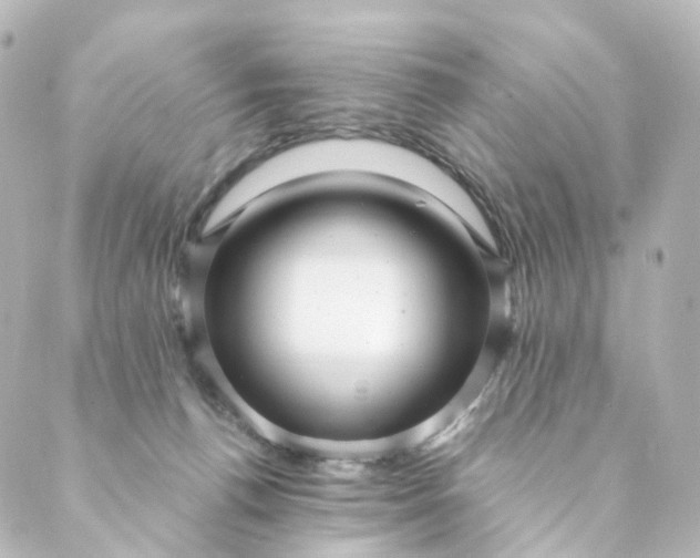 X0000088890176200706221849