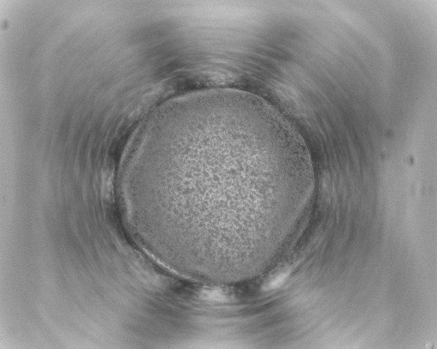 X0000088890177200706221849