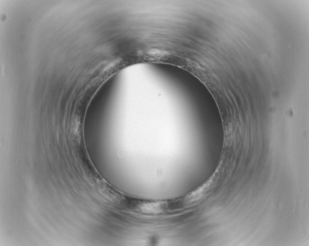 X0000088890178200706221849