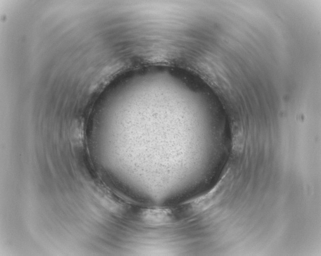 X0000088890179200706221849