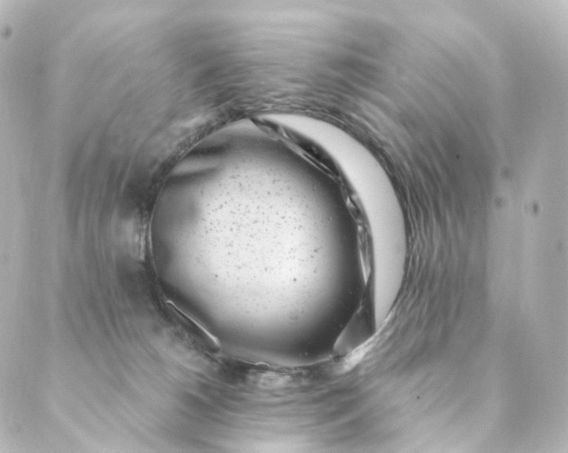 X0000088890180200706221849