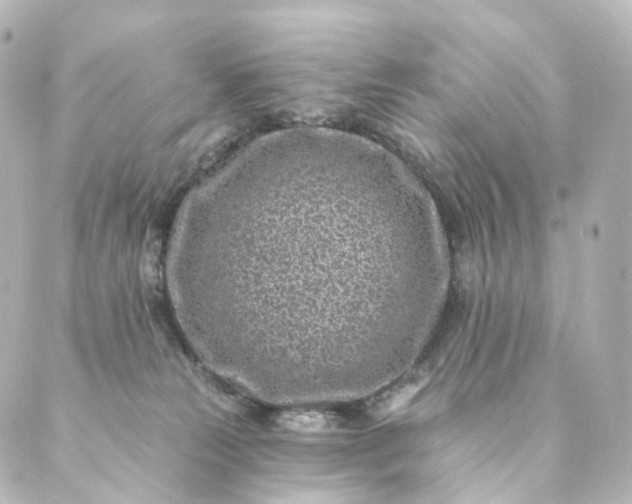 X0000088890181200706221849