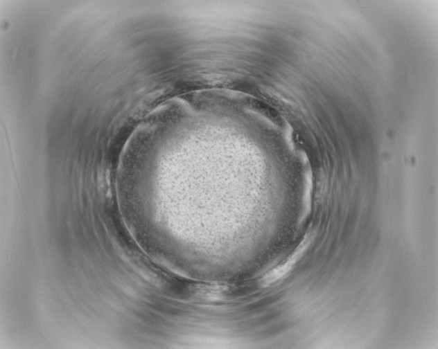 X0000088890182200706221849